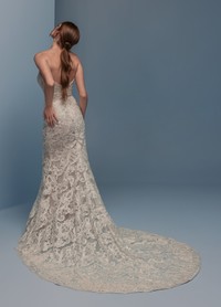 Davi lazaro wedding dress