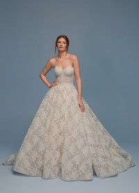 Davida lazaro wedding dress